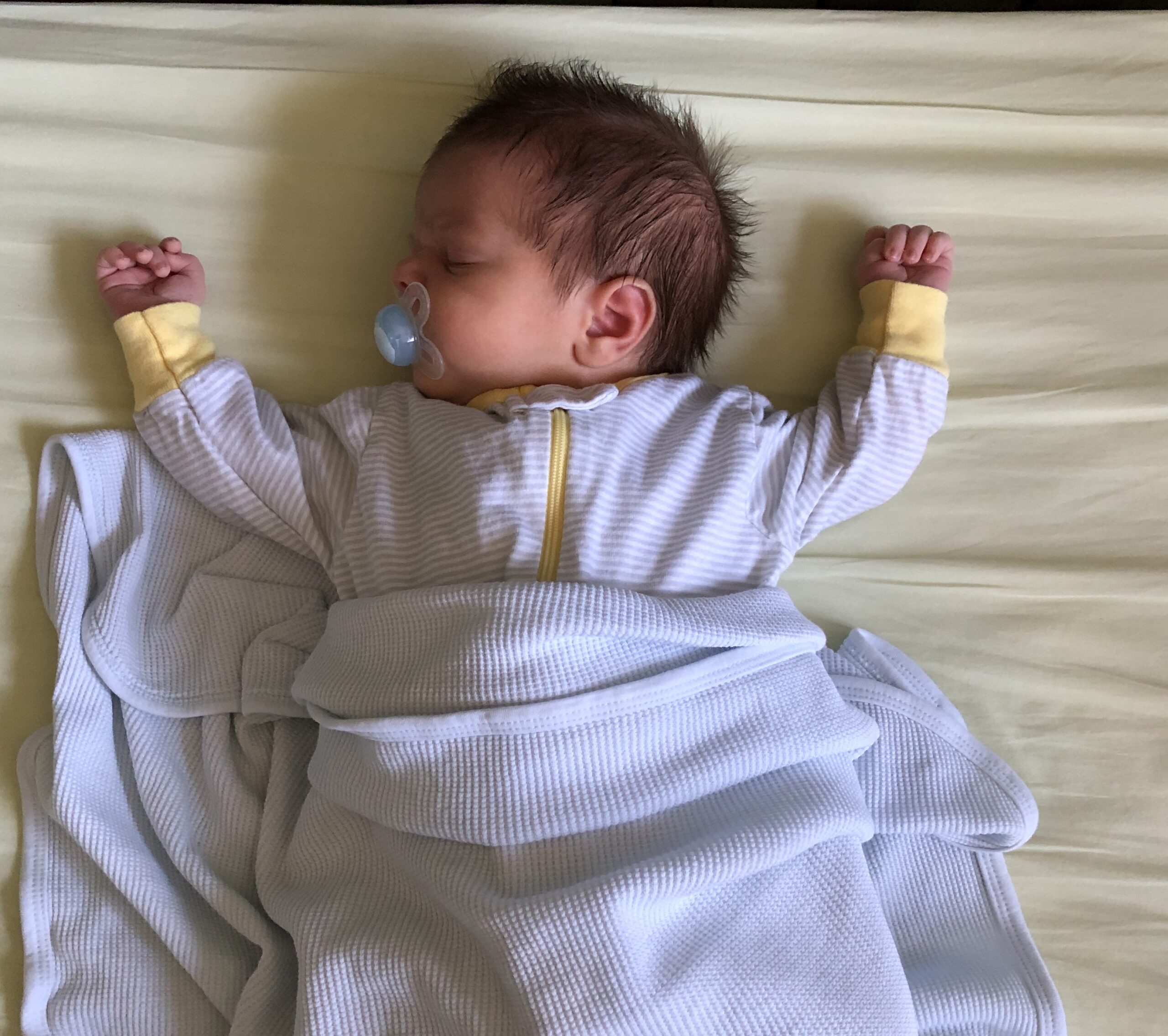 Rec Evt 14b Lorenzo Ciaramitaro Birth