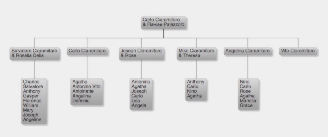 Ciaramitaro early history tree
